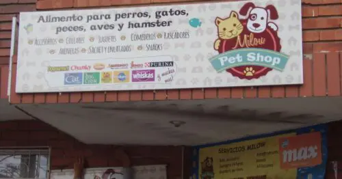 MILOW PET SHOP MILOW PET SHOP